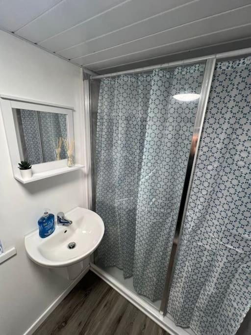 Haven - Beautiful 3 Bedroom House Ballynahinch Exteriör bild